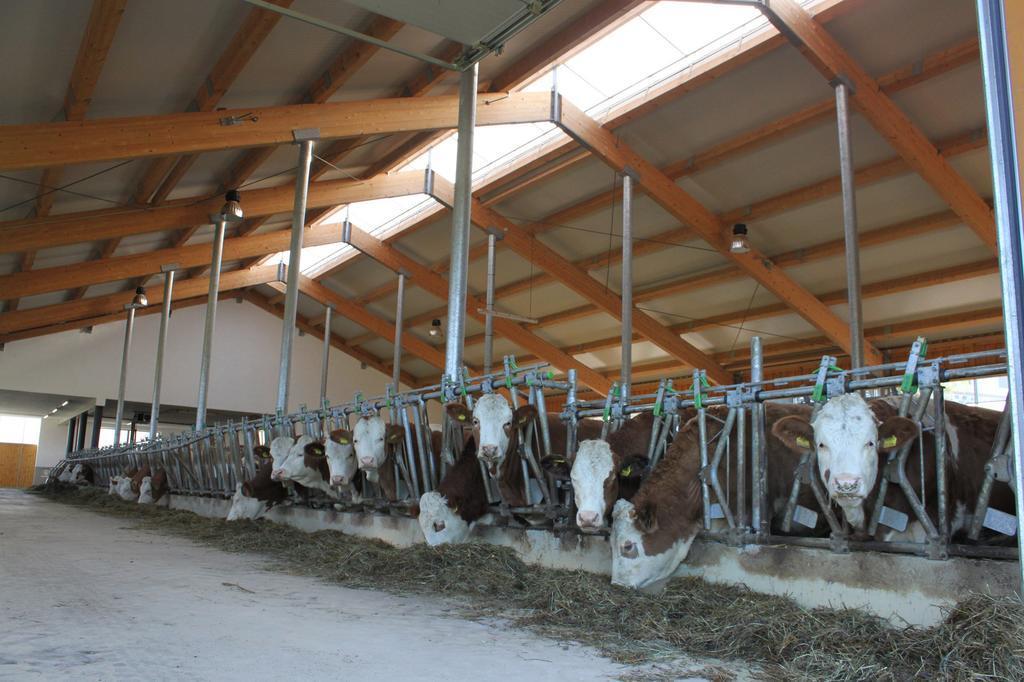 Ganhoer- Fam. Kaar Wintersdorf Exterior foto